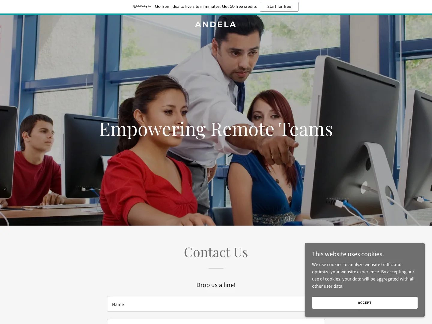 Andela website