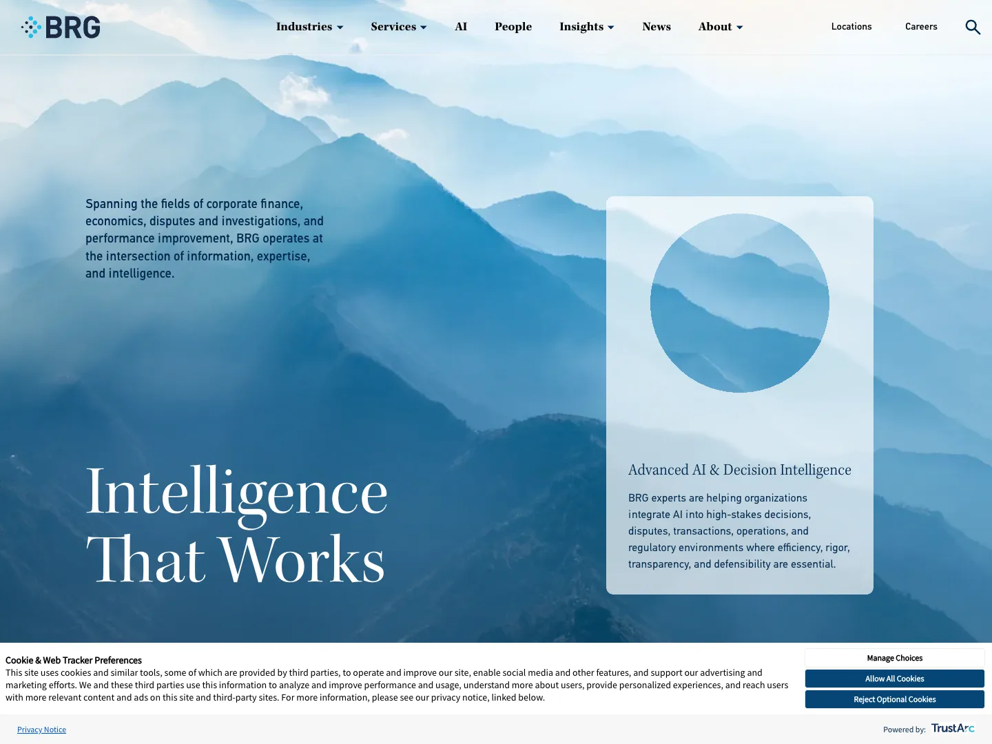 Berkeley Research Group website