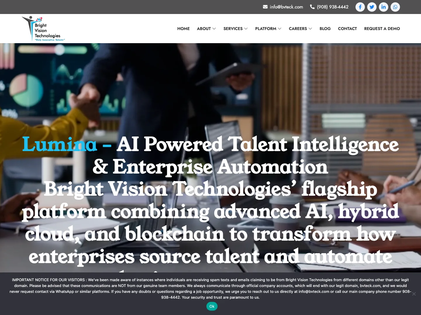 Bright Vision Technologies website