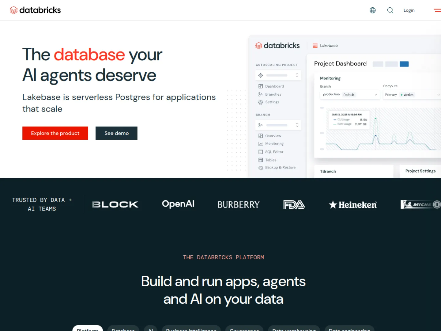 Databricks website