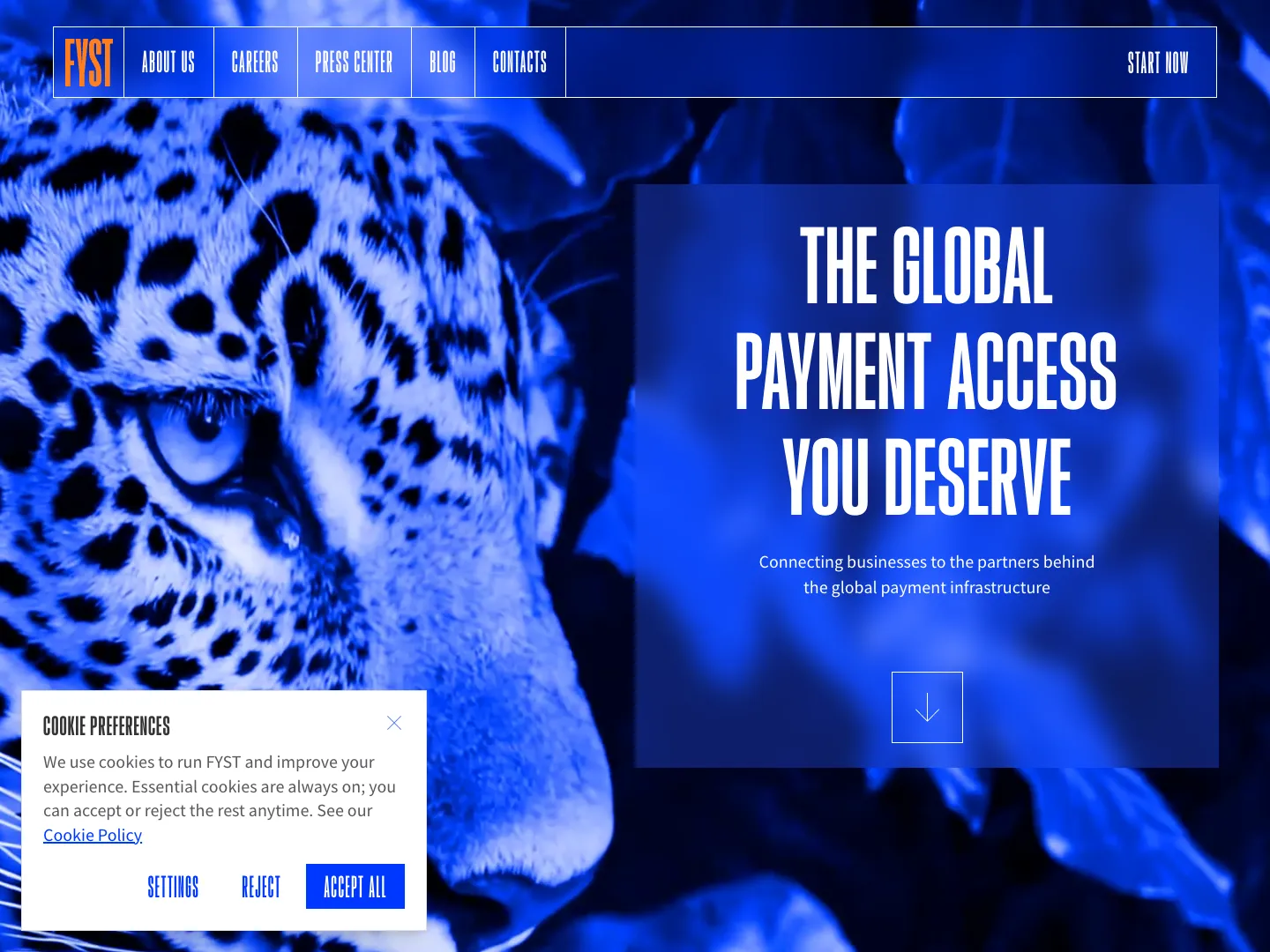 FYST website