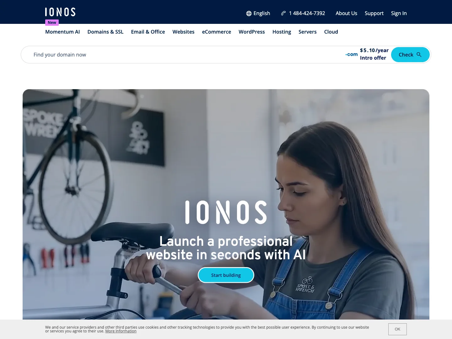 Ionos website