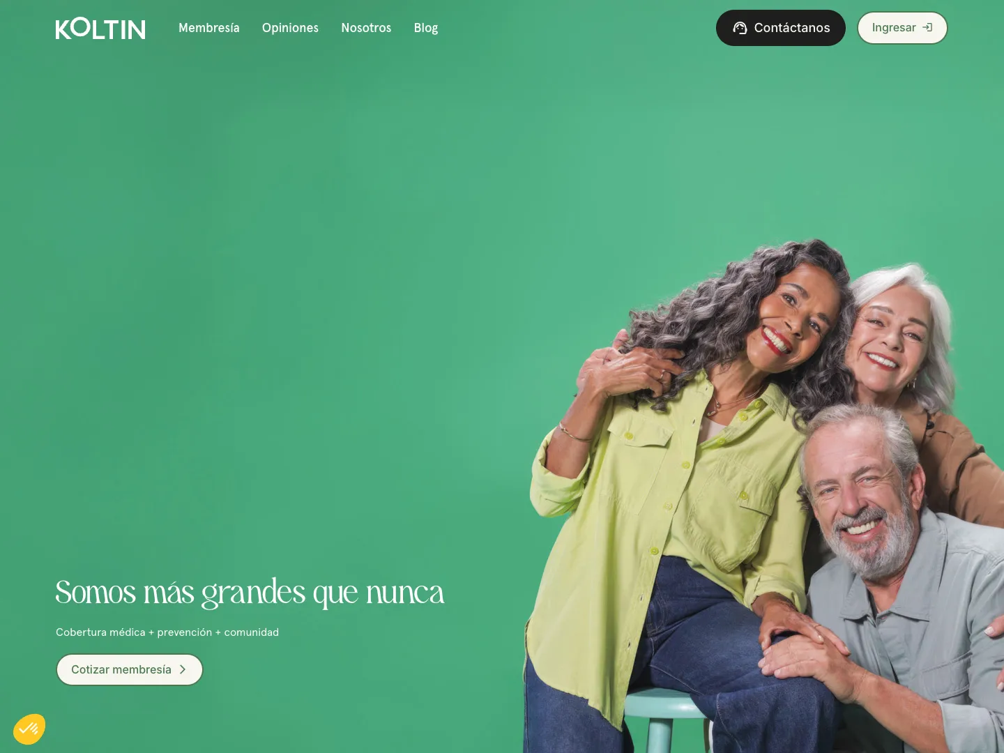 Koltin website