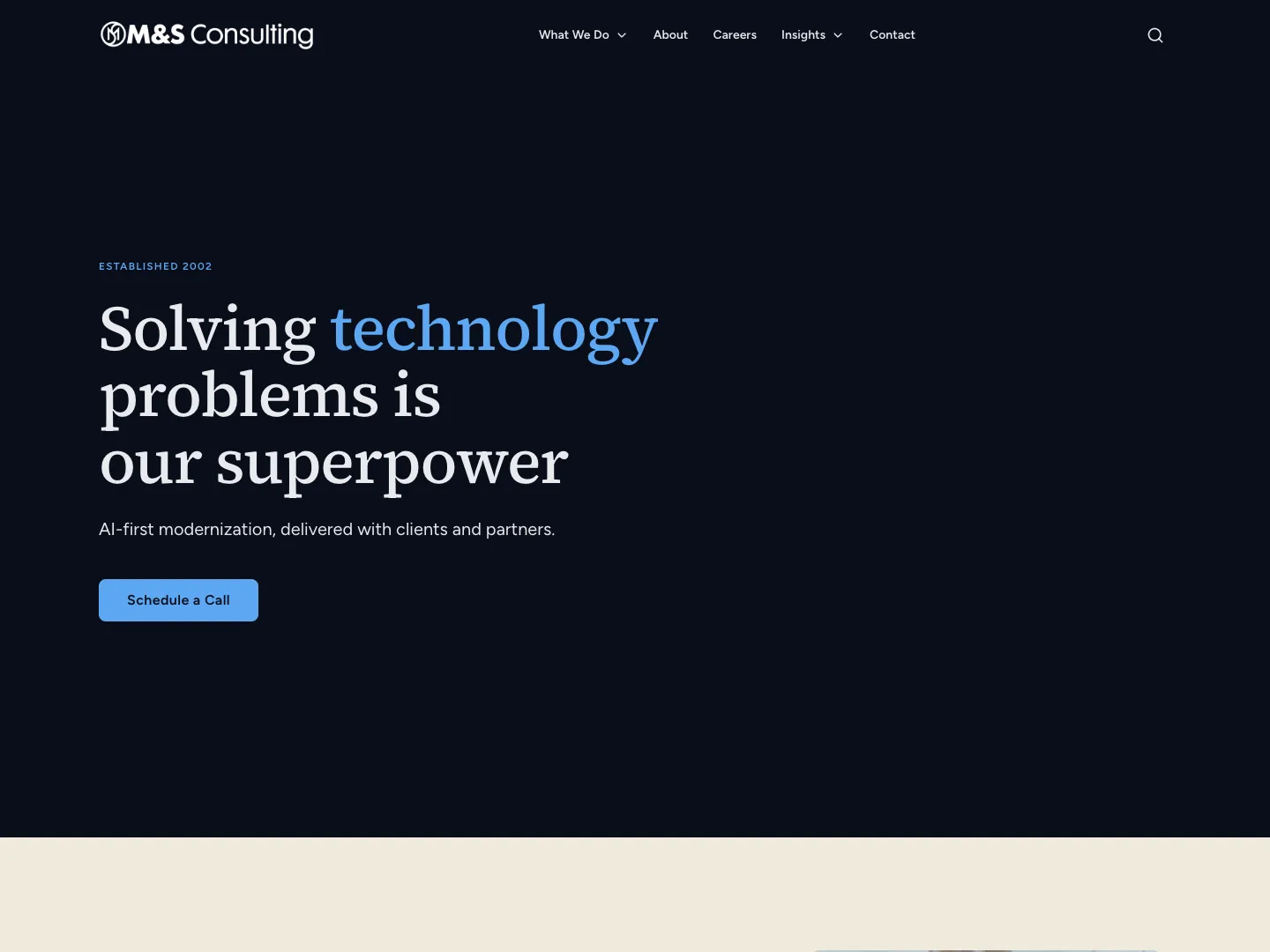 M&S Consulting website