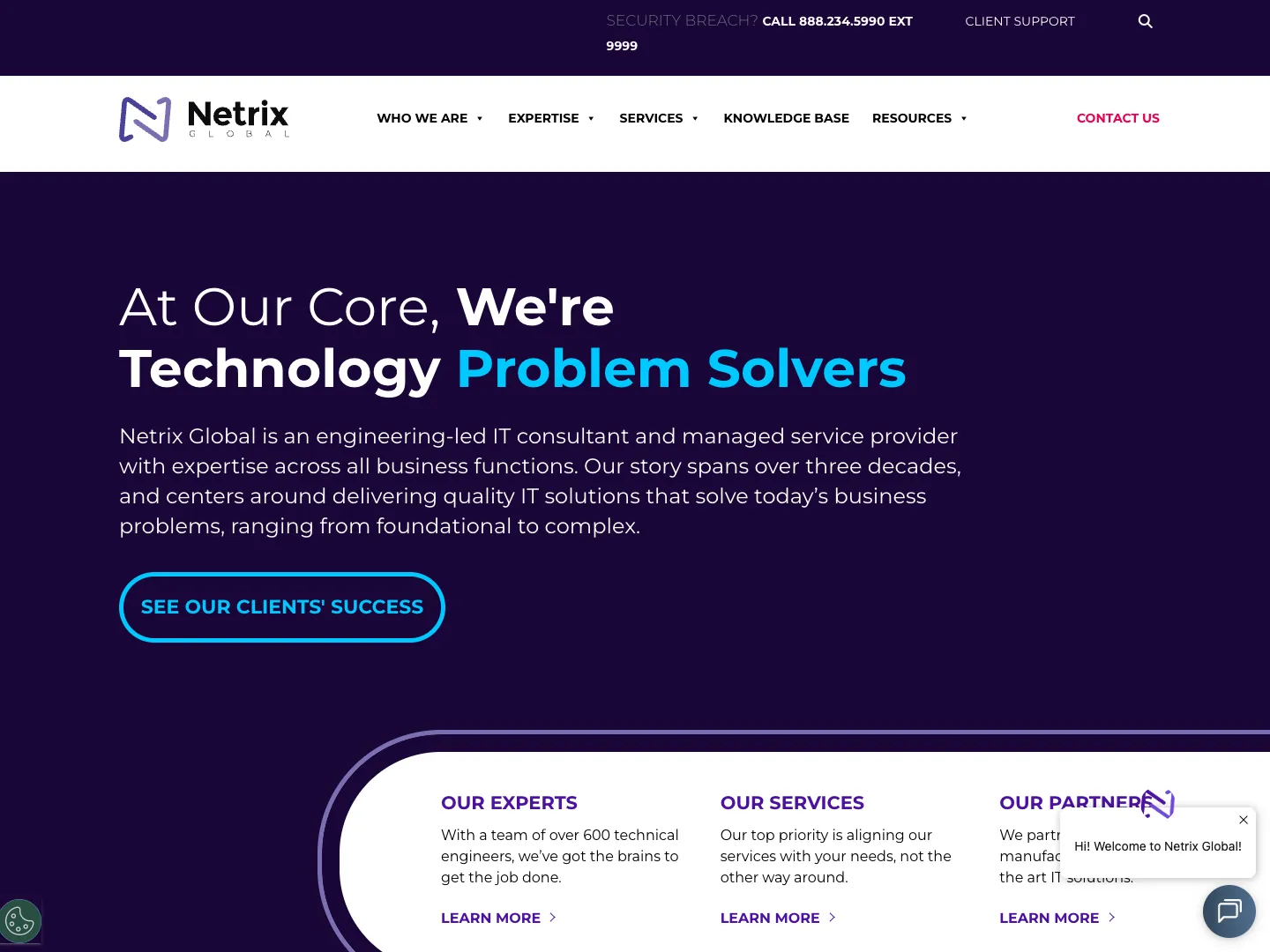 Netrix Global website