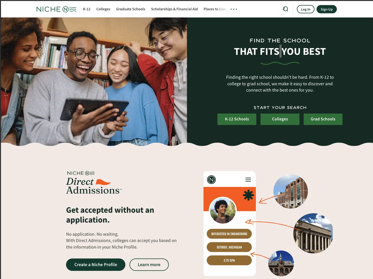 Niche website