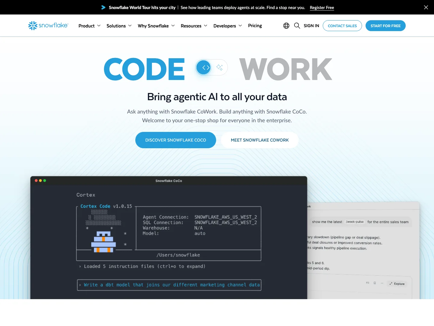 Snowflake website