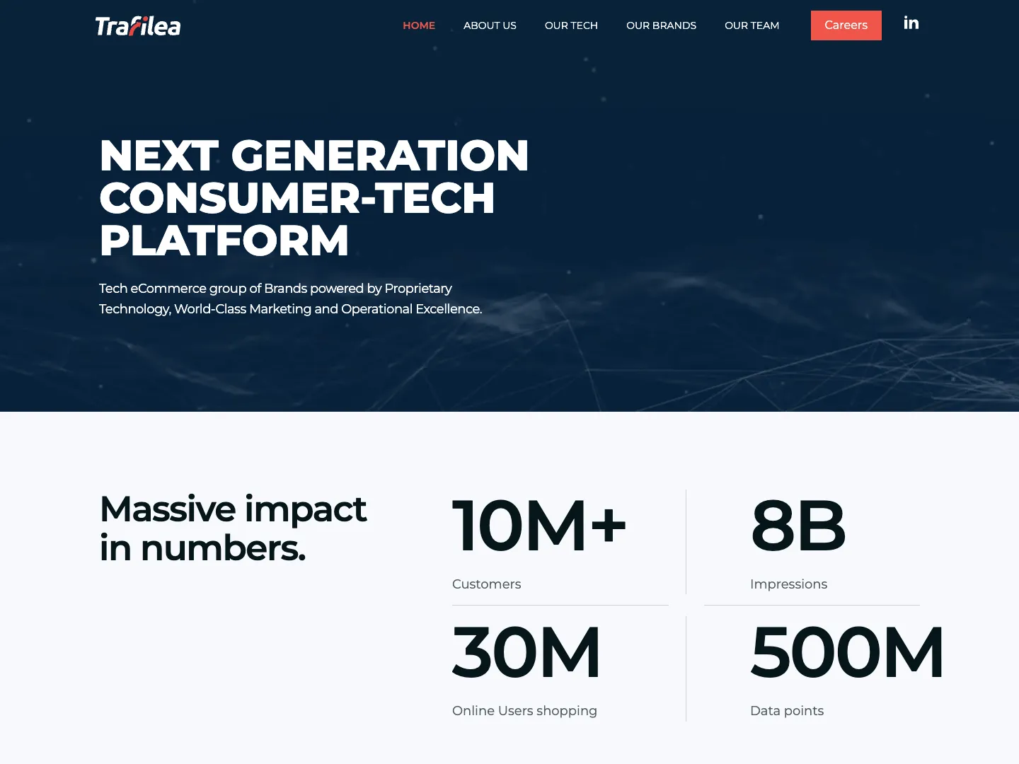 Trafilea website