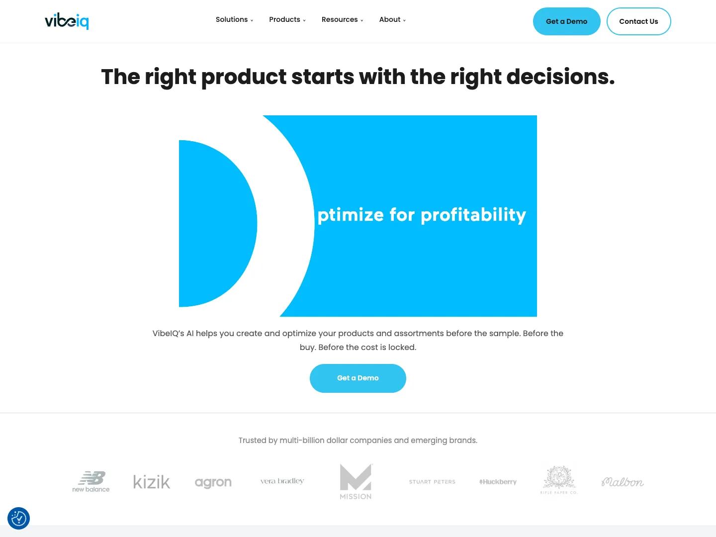 VibeIQ website