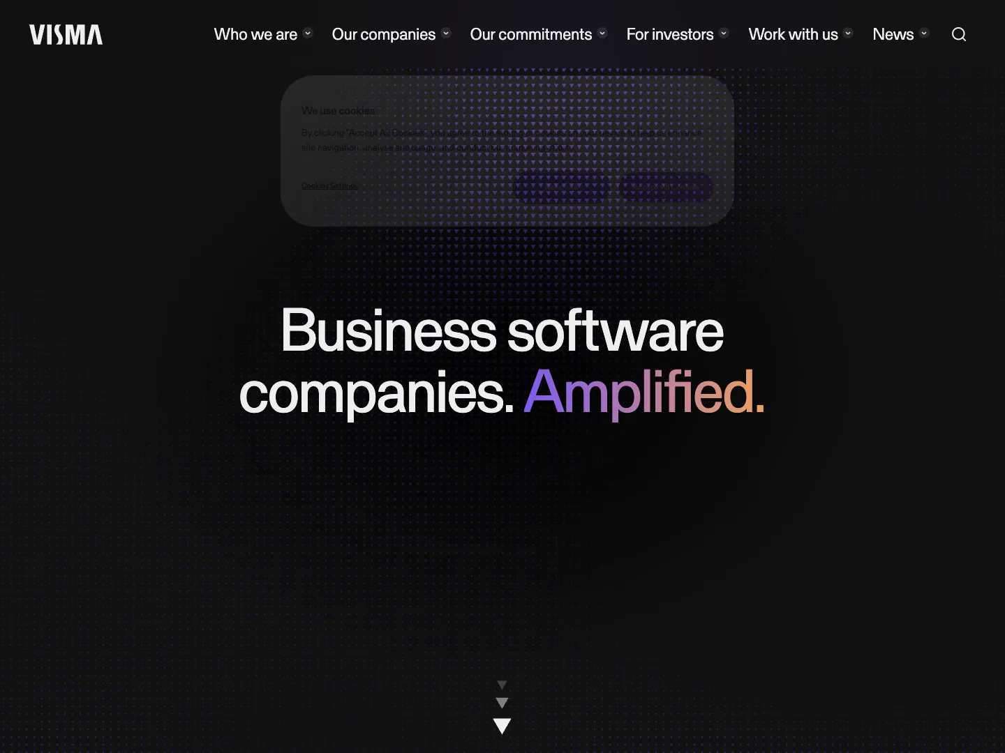 Visma Software International AS website